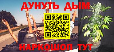 гидропоника Будённовск