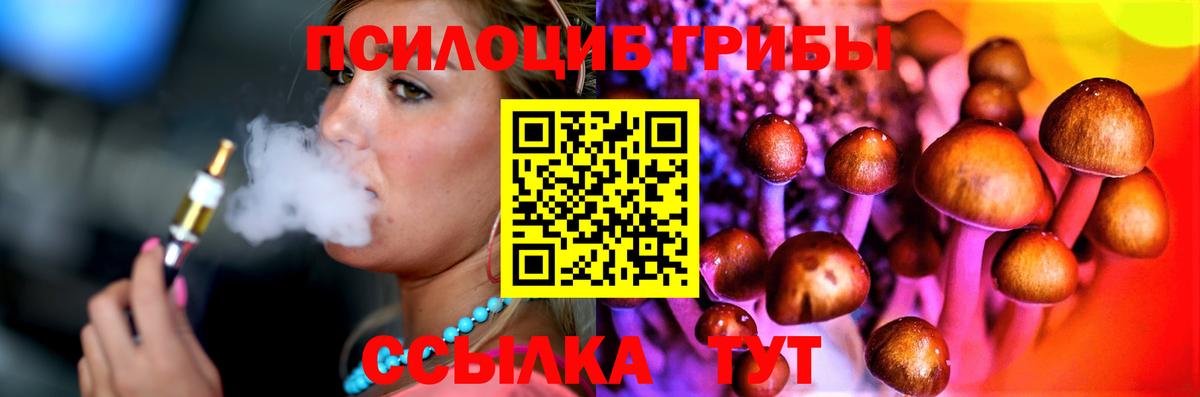 Галлюциногенные грибы Cubensis Нижний Новгород